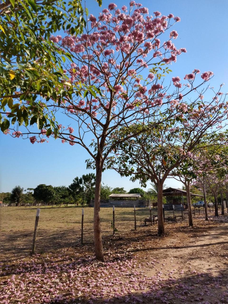 Chalé Quintal Amazon Macapá Kültér fotó