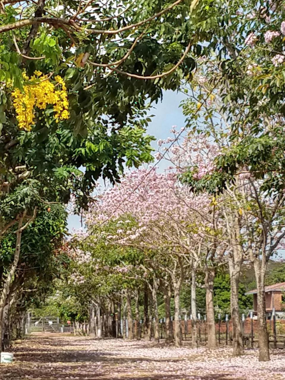 Chalé Quintal Amazon Macapá Kültér fotó